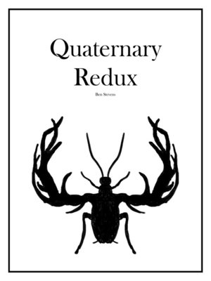 cover image of Quaternary Redux